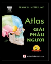 Atlas giải phẫu người mới nhất